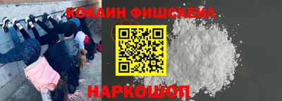 шишки Новодвинск