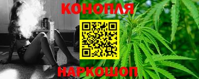 бошки Новозыбков