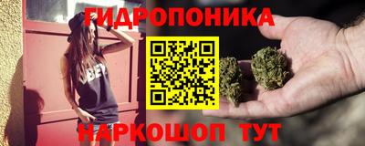 бошки Новозыбков