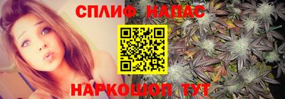 бошки Новозыбков