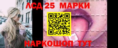 шишки Новодвинск
