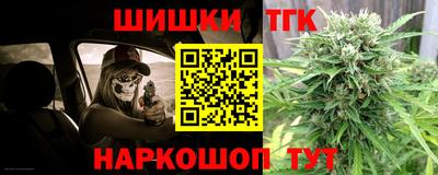 шишки Новодвинск