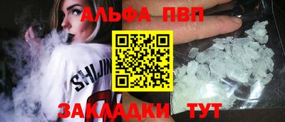 шишки Новодвинск