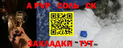 шишки Новодвинск