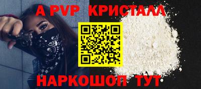 шишки Новодвинск