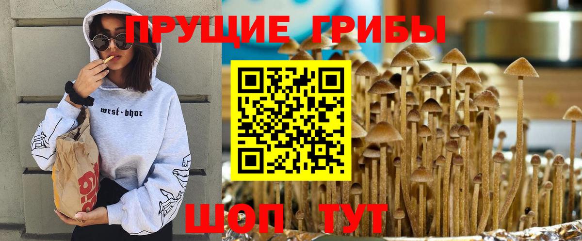 Галлюциногенные грибы Magic Shrooms Уварово